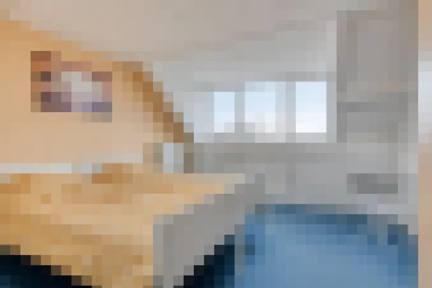 Sijmen Grootstraat 8 Edam thumbnail 35