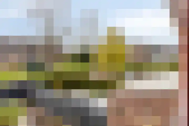 Sijmen Grootstraat 8 Edam thumbnail 39