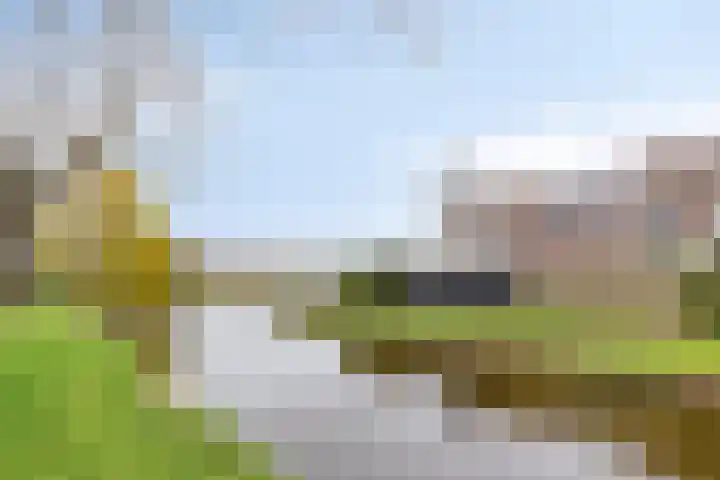 Sijmen Grootstraat 8 Edam thumbnail 4