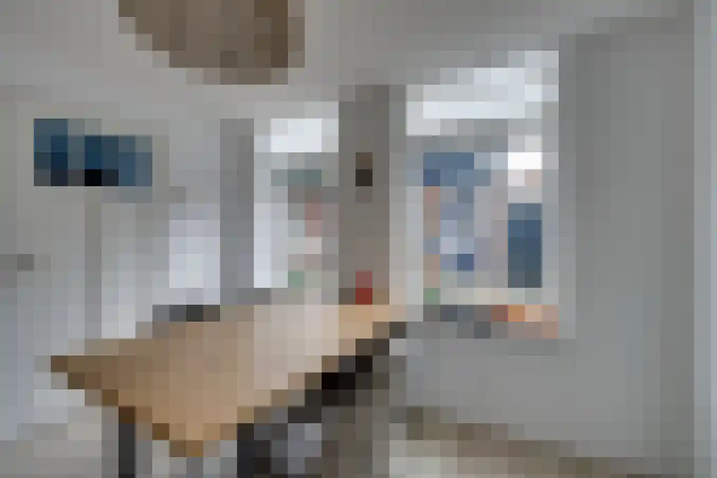 Sijmen Molstraat 12 Volendam thumbnail 4