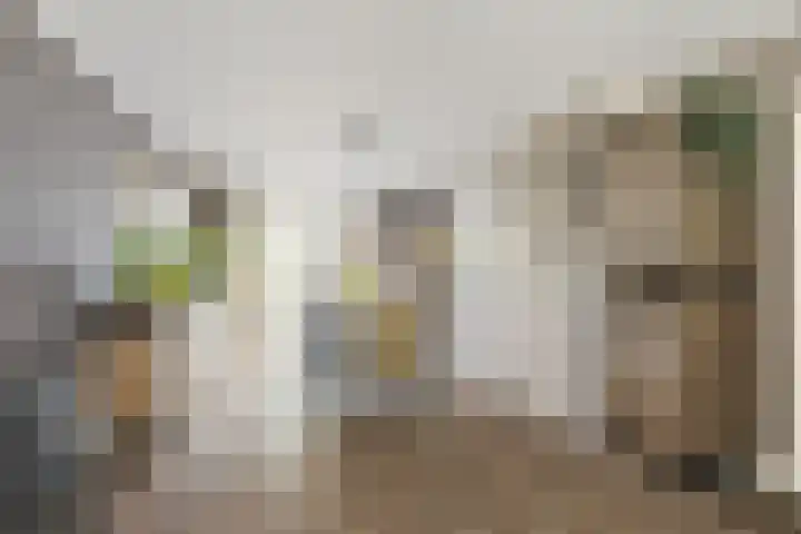 Sijmon Blaauwboerstraat 4 Den Helder thumbnail 10