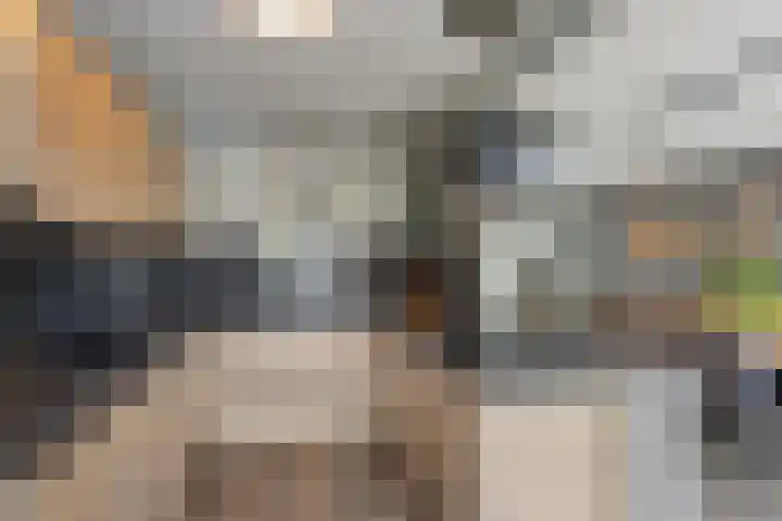 Sijmon Blaauwboerstraat 4 Den Helder thumbnail 13