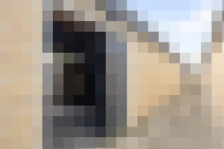 Sijmon Blaauwboerstraat 4 Den Helder thumbnail 17