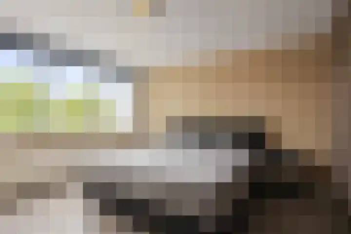 Sijmon Blaauwboerstraat 4 Den Helder thumbnail 24