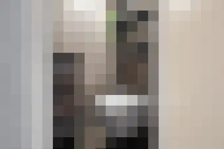 Sijmon Blaauwboerstraat 4 Den Helder thumbnail 7