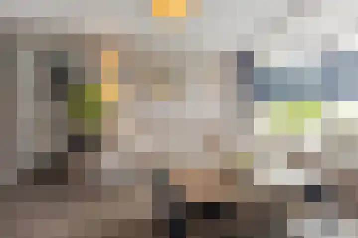Sijmon Blaauwboerstraat 4 Den Helder thumbnail 9