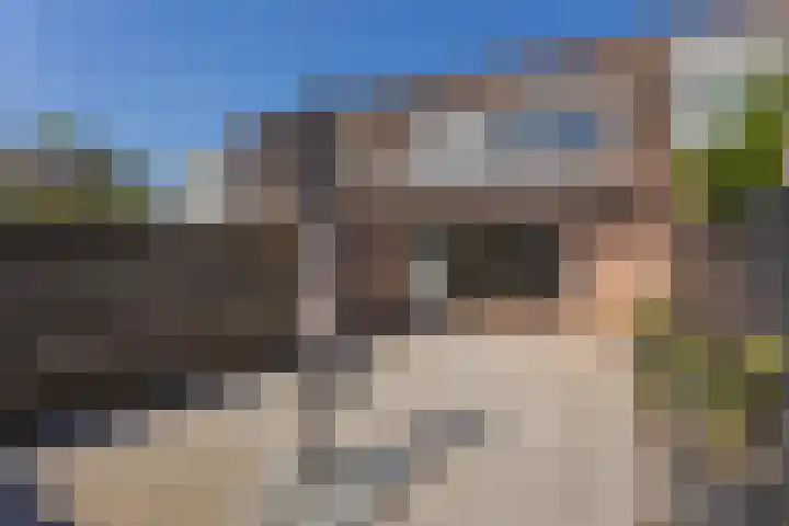 Sijpesteijn 17 IJsselstein thumbnail 17