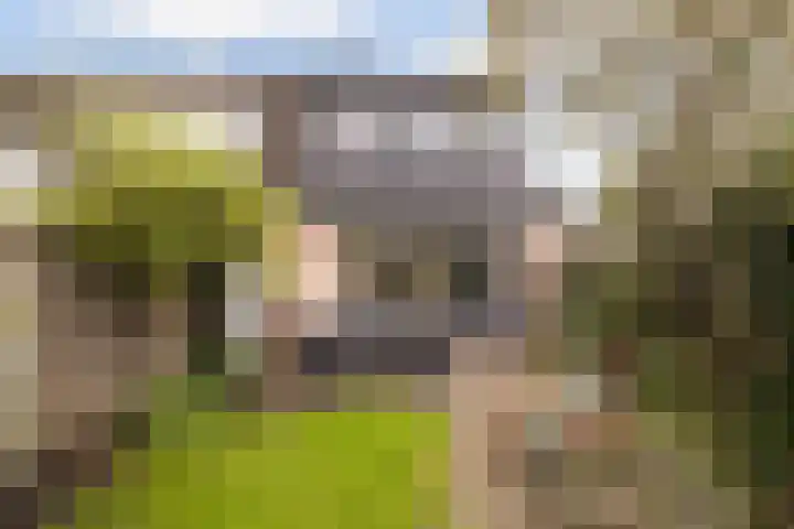 Sijpesteijn 23 IJsselstein thumbnail 27