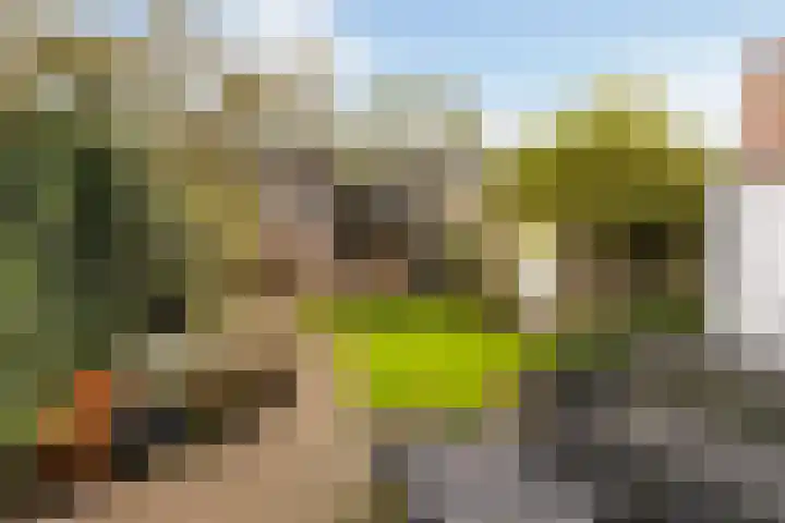 Sijpesteijn 23 IJsselstein thumbnail 28