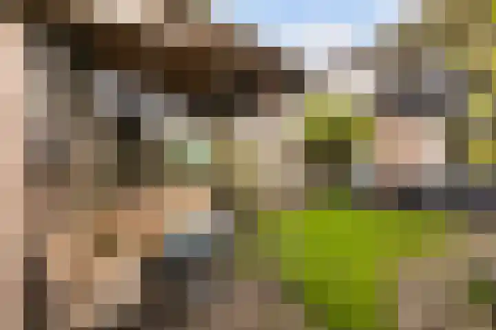 Sijpesteijn 23 IJsselstein thumbnail 29