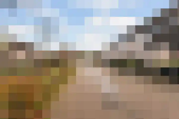 Sijpesteijn 23 IJsselstein thumbnail 30