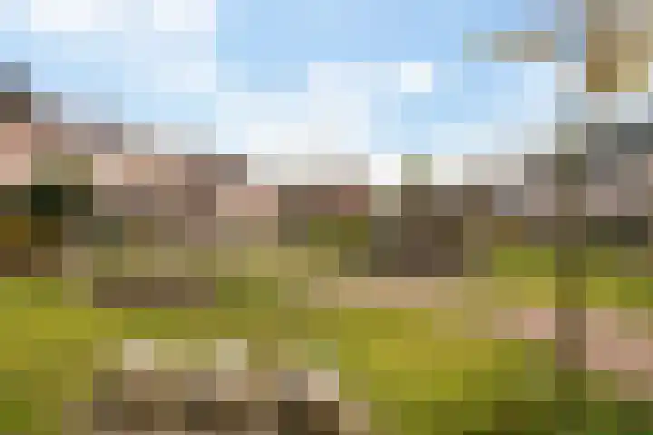 Sijpesteijn 23 IJsselstein thumbnail 31