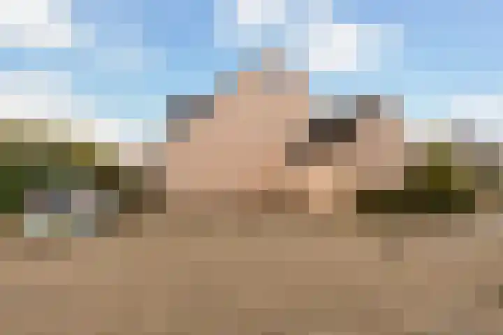 Sijpesteijn 23 IJsselstein thumbnail 32
