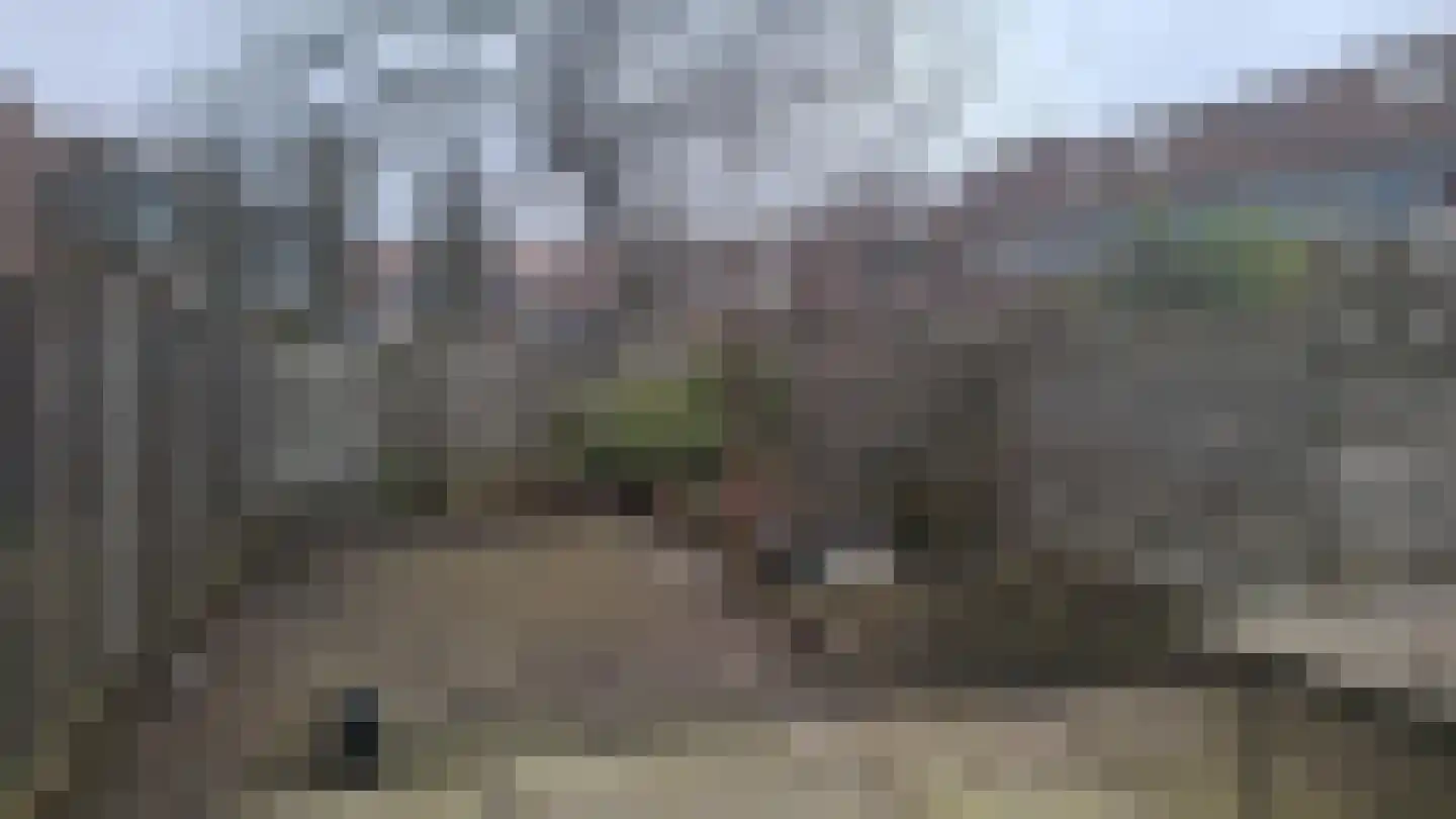 Sijpesteinstraat 7 Rotterdam thumbnail 13