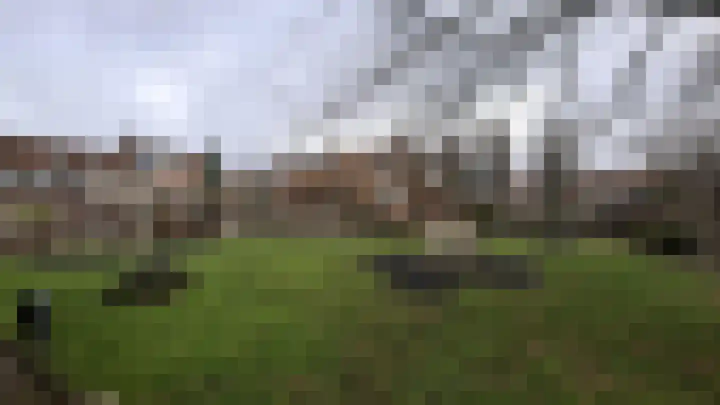 Sijpesteinstraat 7 Rotterdam thumbnail 14