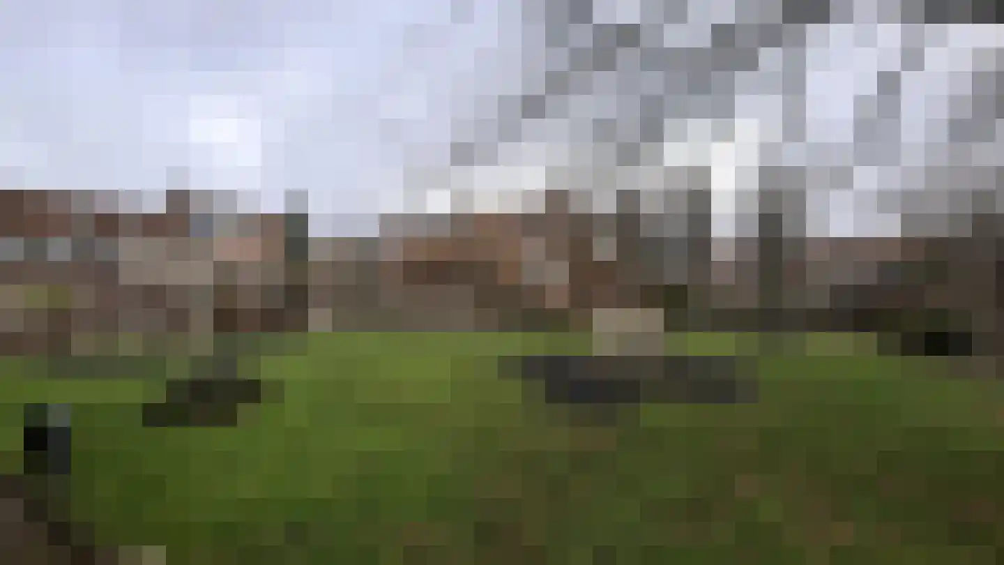 Sijpesteinstraat 7 Rotterdam thumbnail 14