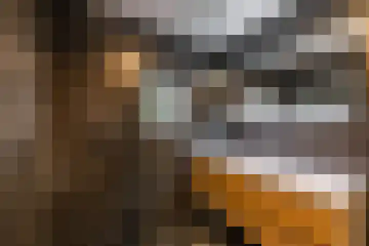 Sijpesteinstraat 7 Rotterdam thumbnail 9