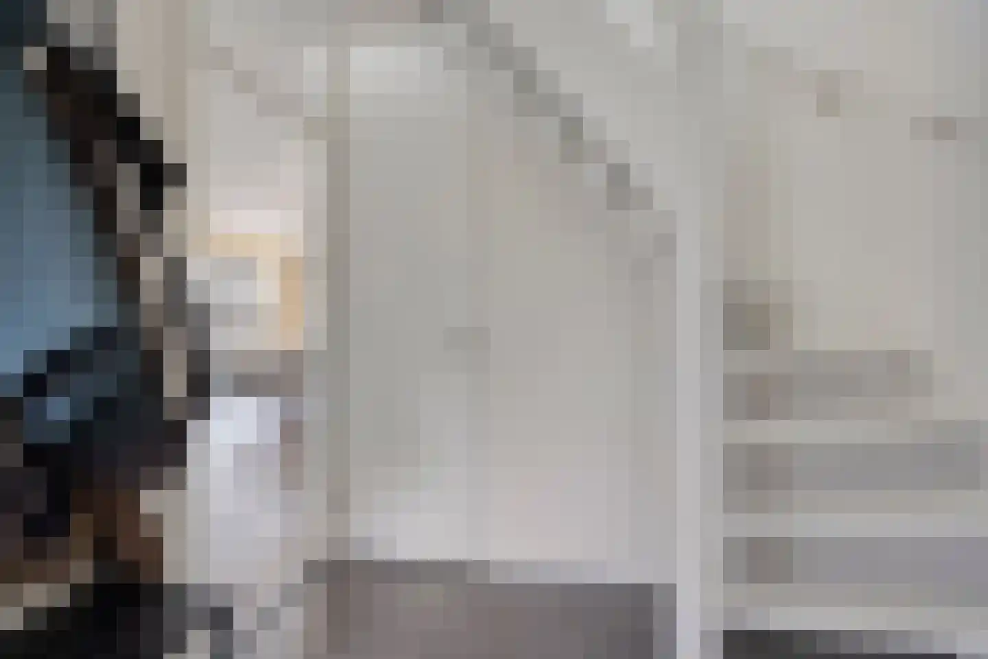 Sijs 4 Boxmeer thumbnail 11