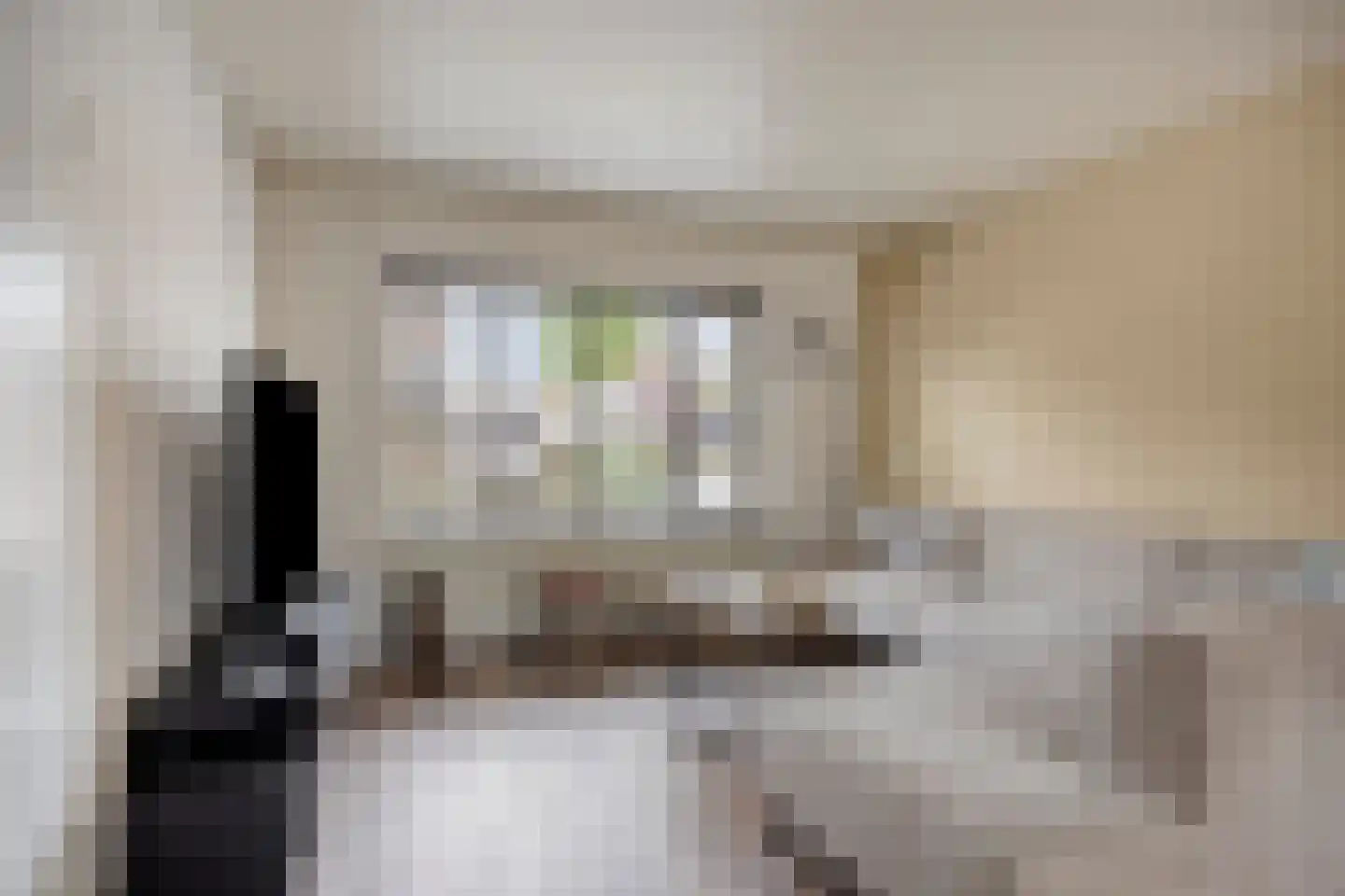 Sijs 4 Boxmeer thumbnail 13