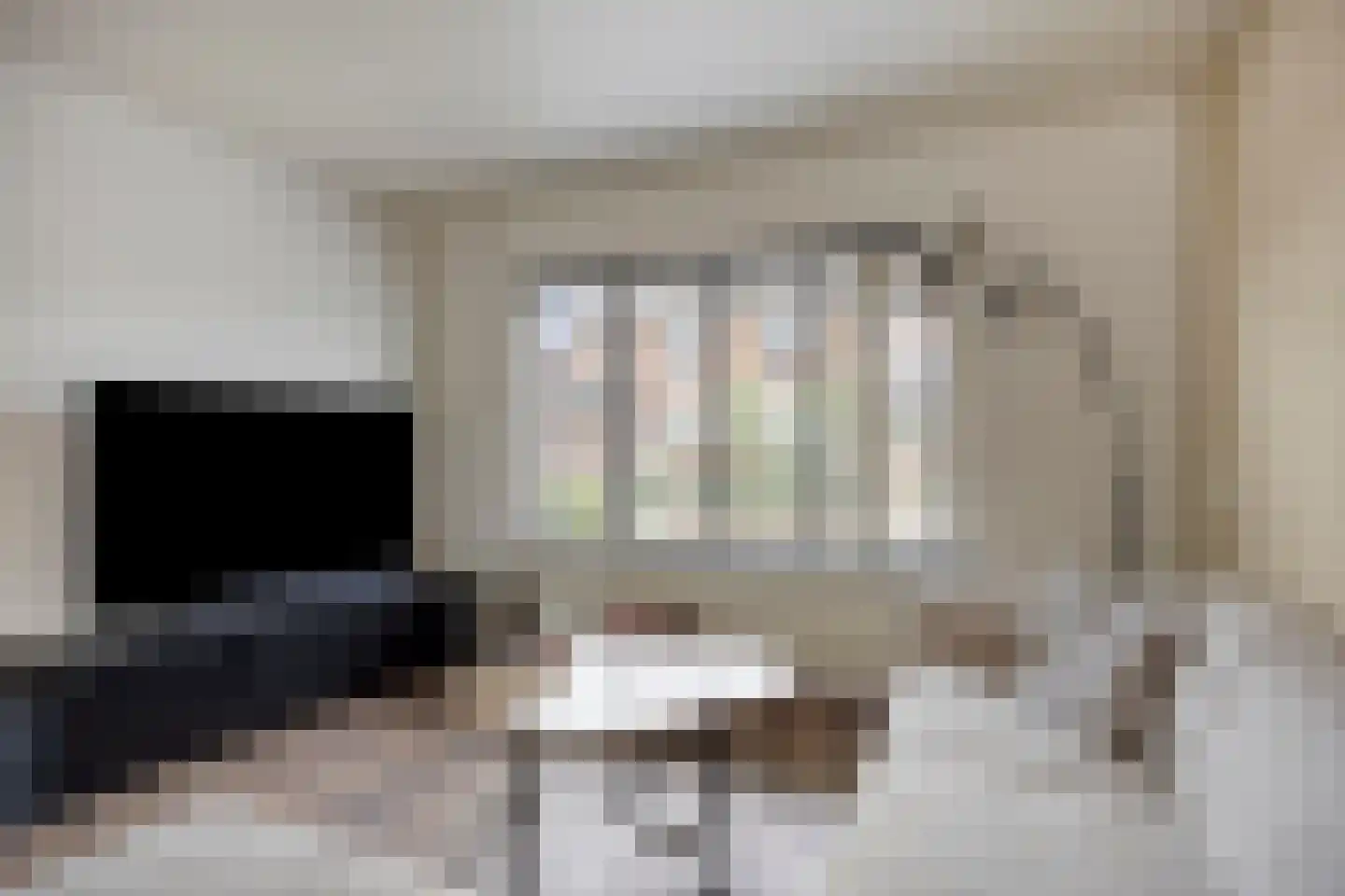 Sijs 4 Boxmeer thumbnail 14