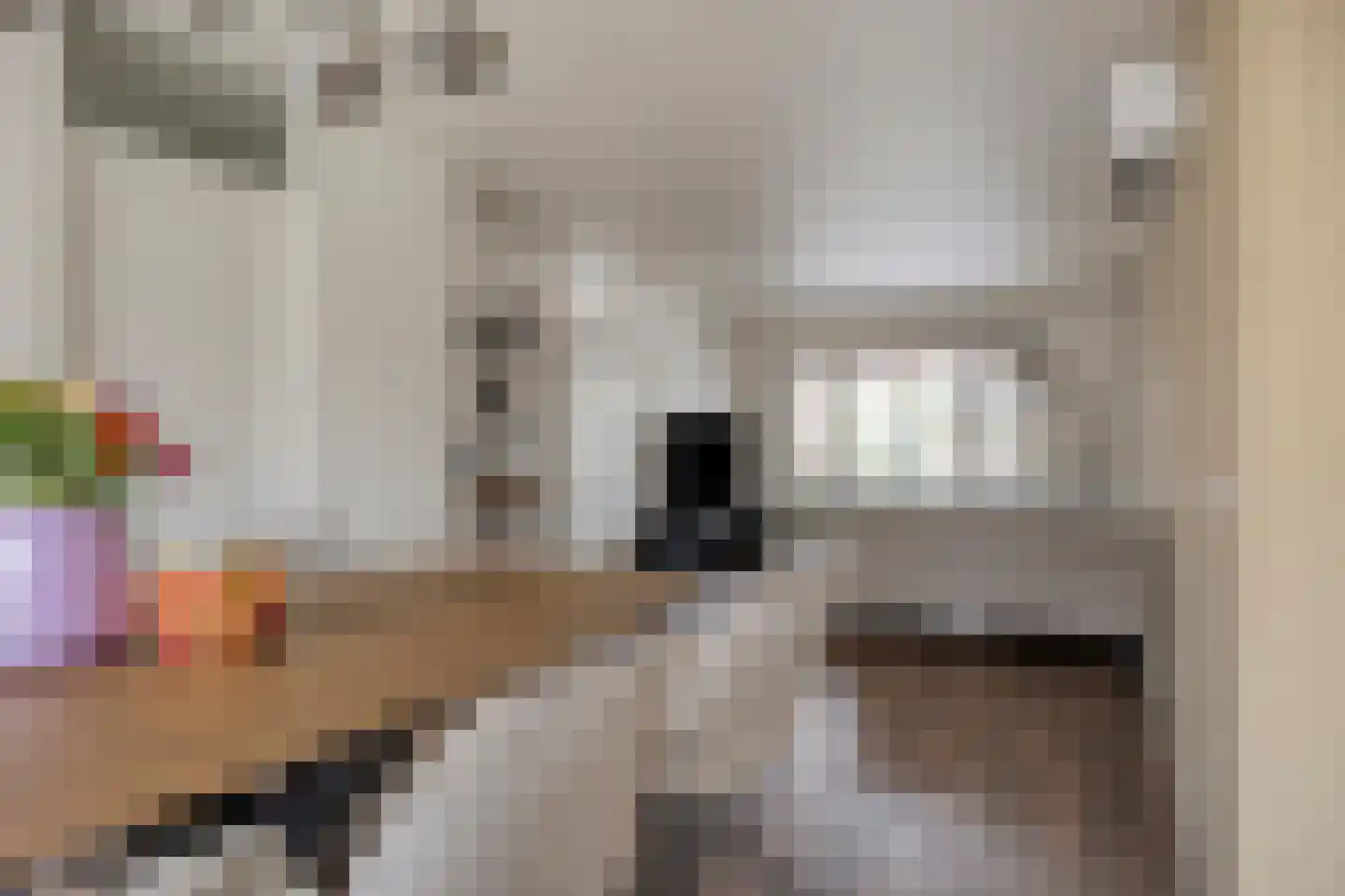 Sijs 4 Boxmeer thumbnail 17