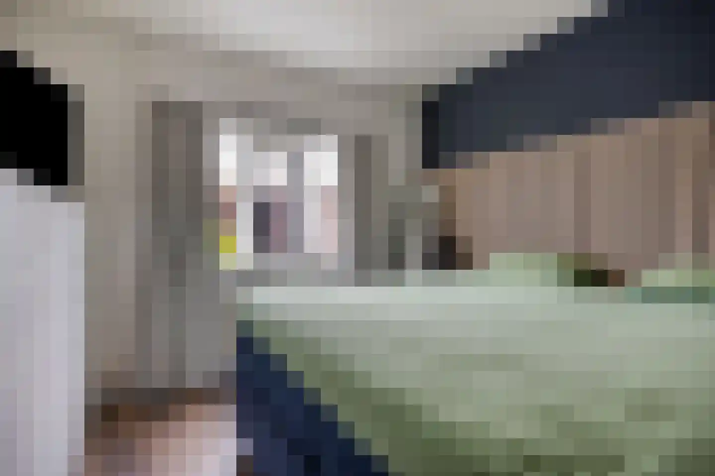 Sijs 4 Boxmeer thumbnail 24