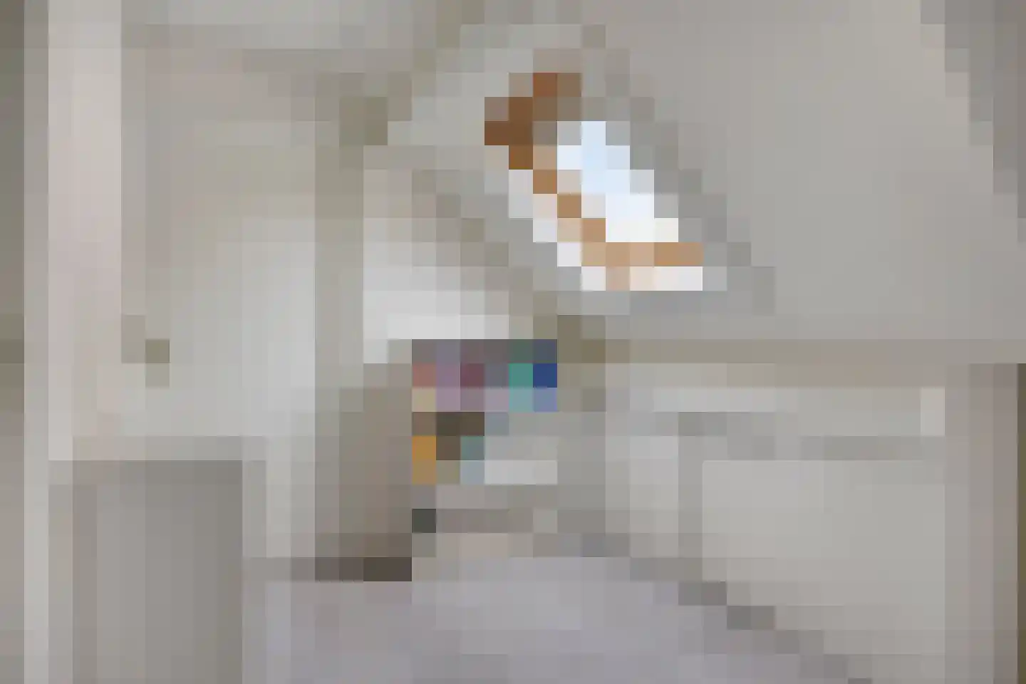 Sijs 4 Boxmeer thumbnail 27