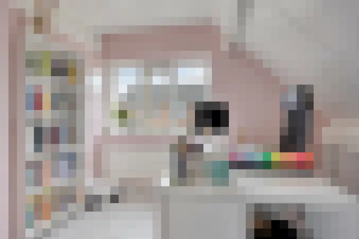 Sijs 4 Boxmeer thumbnail 28