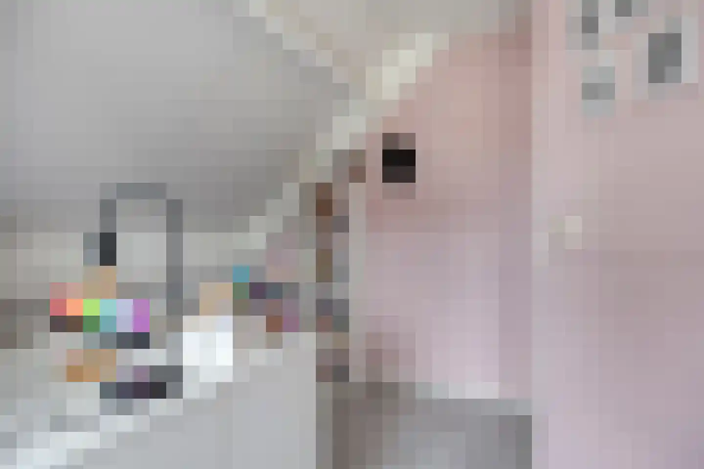 Sijs 4 Boxmeer thumbnail 29