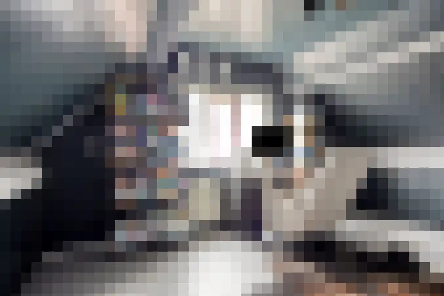 Sijs 4 Boxmeer thumbnail 30