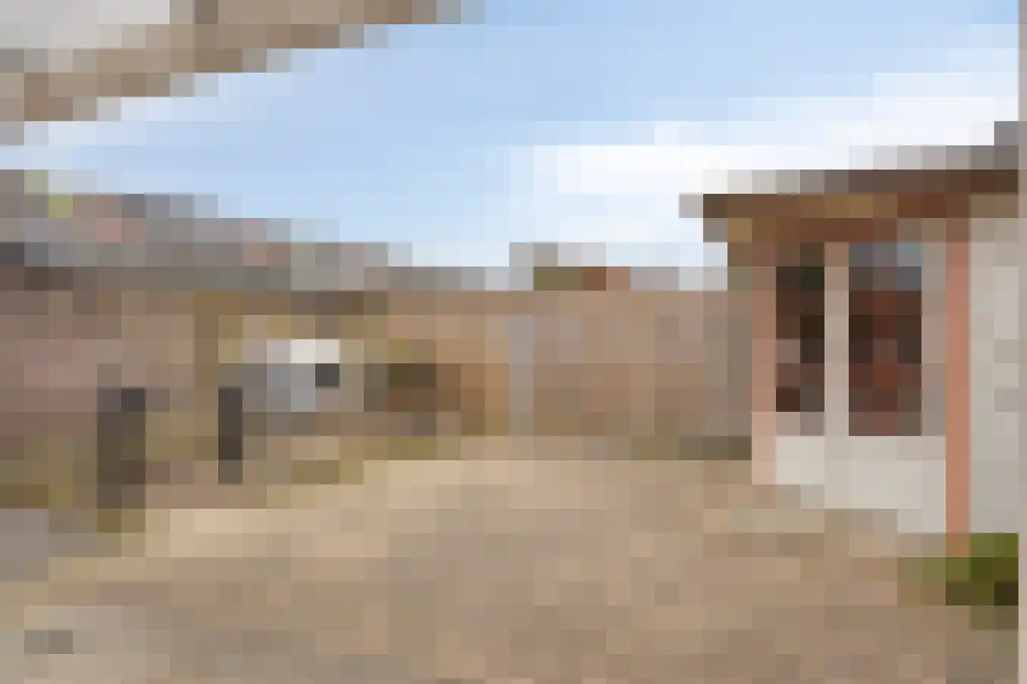 Sijs 4 Boxmeer thumbnail 35