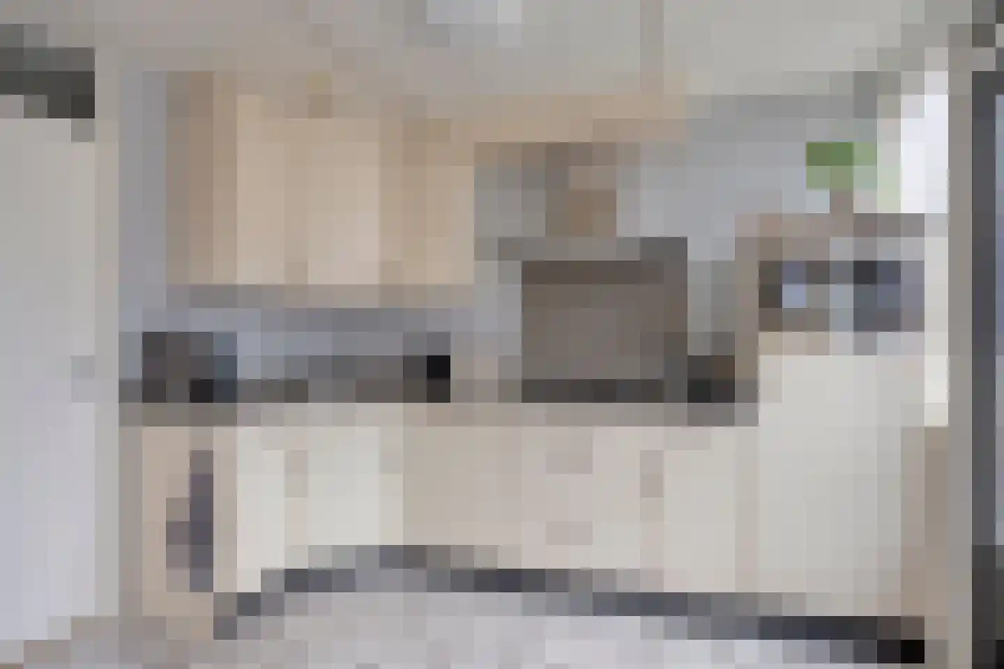Sijs 4 Boxmeer thumbnail 4