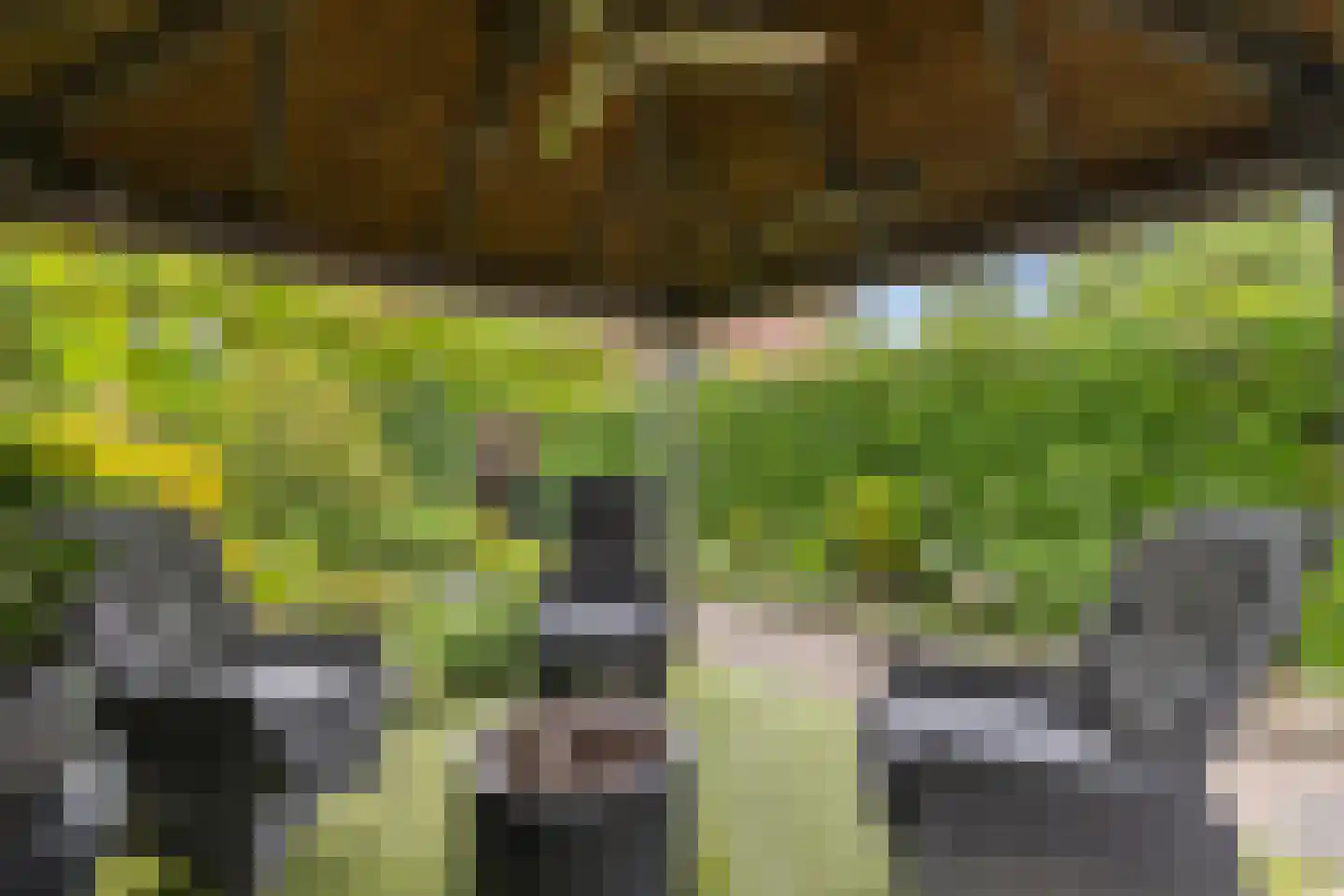 Sijsjeshaag 4 Houten thumbnail 18
