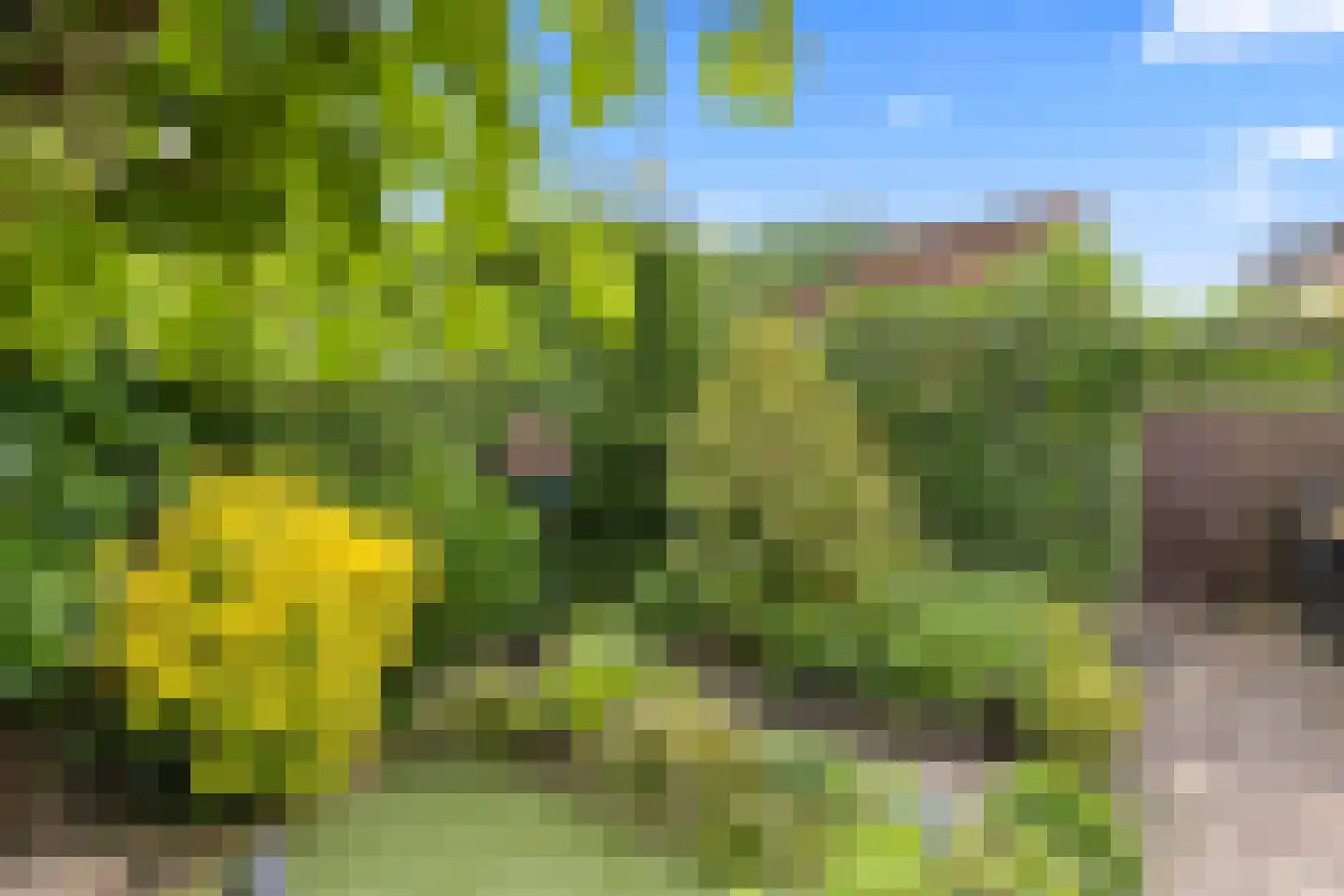 Sijsjeshaag 4 Houten thumbnail 19