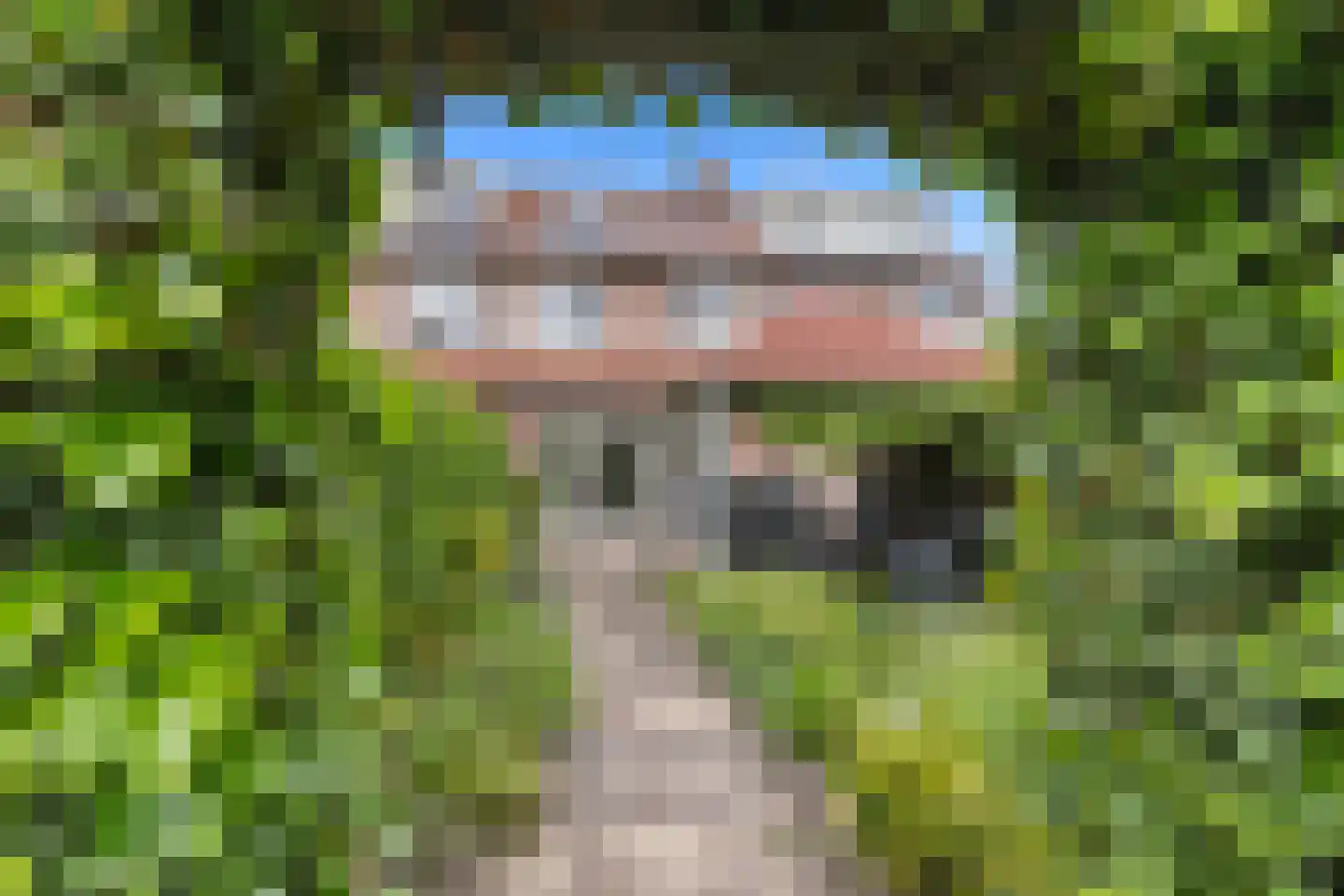 Sijsjeshaag 4 Houten thumbnail 21