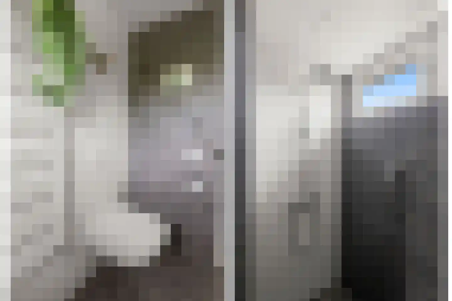 Sijsjeshaag 4 Houten thumbnail 34