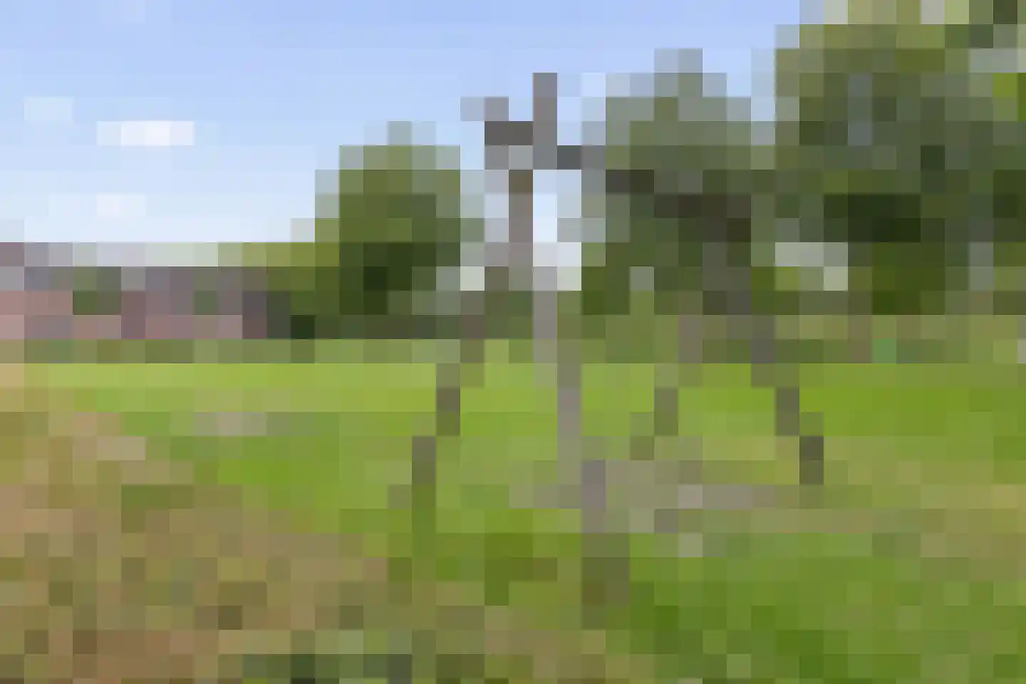Sijsjeshaag 4 Houten thumbnail 43
