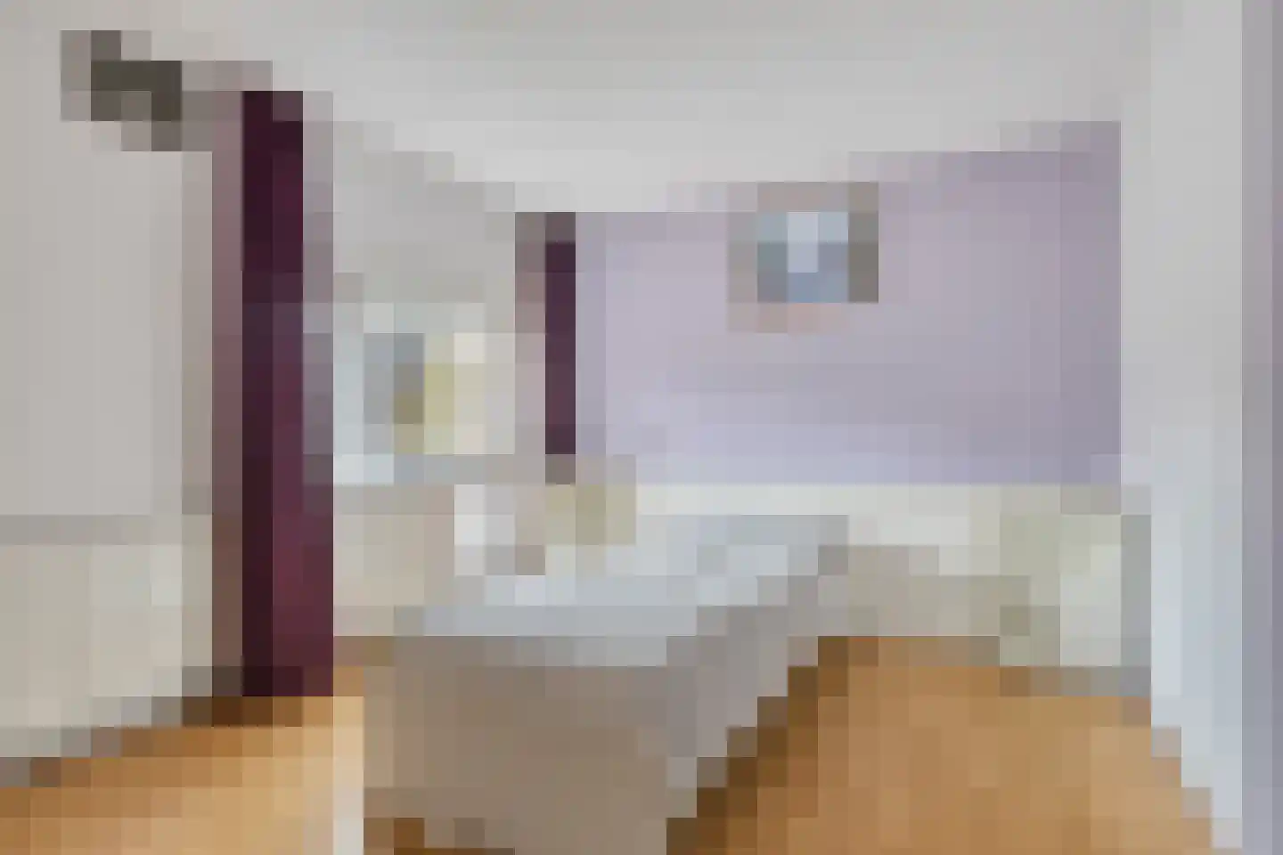 Sijsjespad 3 Delft thumbnail 19