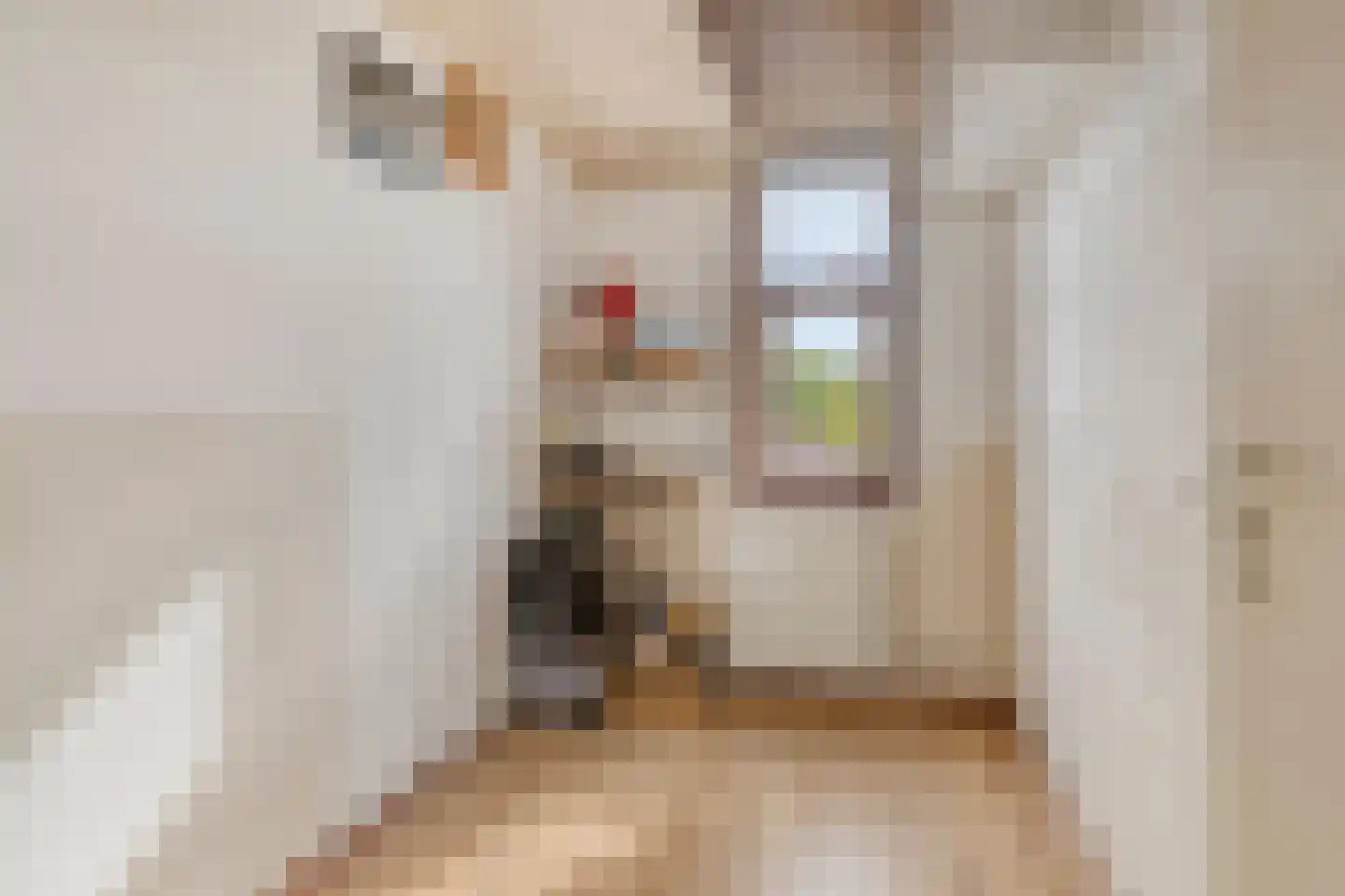 Sijsjespad 3 Delft thumbnail 28