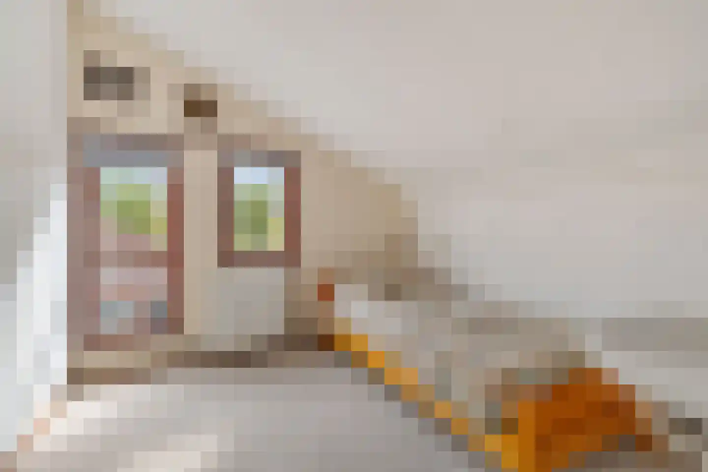 Sijsjespad 3 Delft thumbnail 29