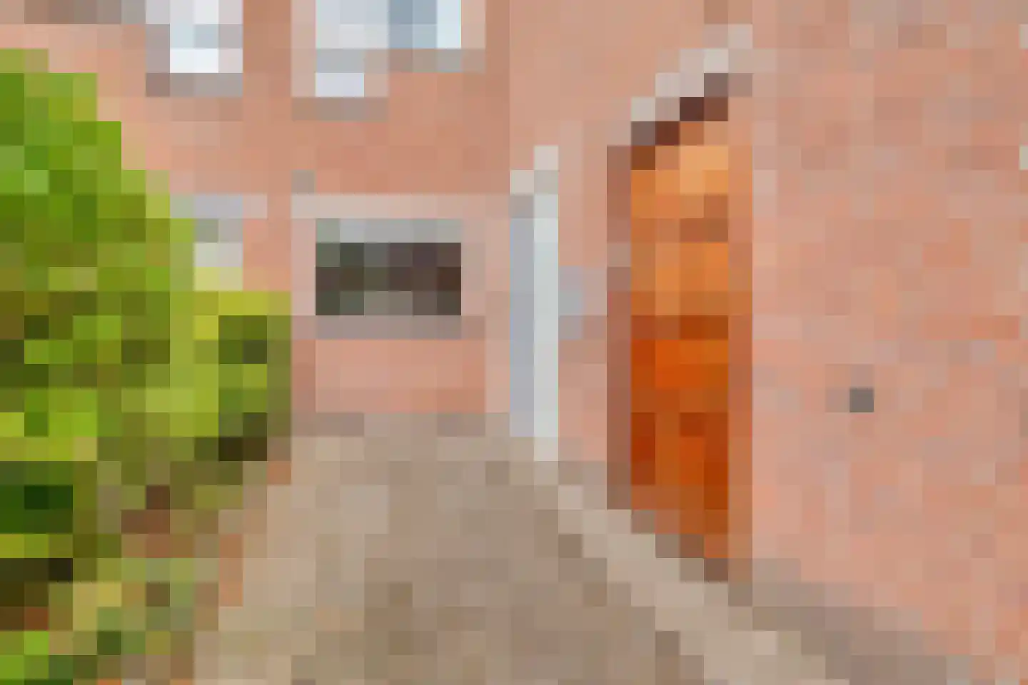 Sijsjespad 3 Delft foto 3