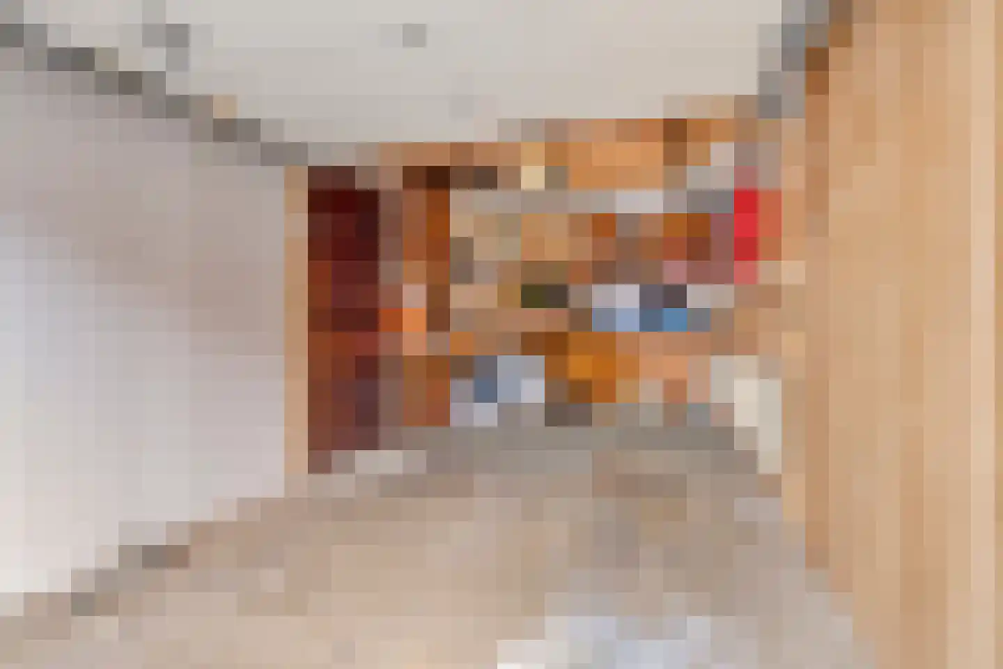 Sijsjespad 3 Delft thumbnail 31