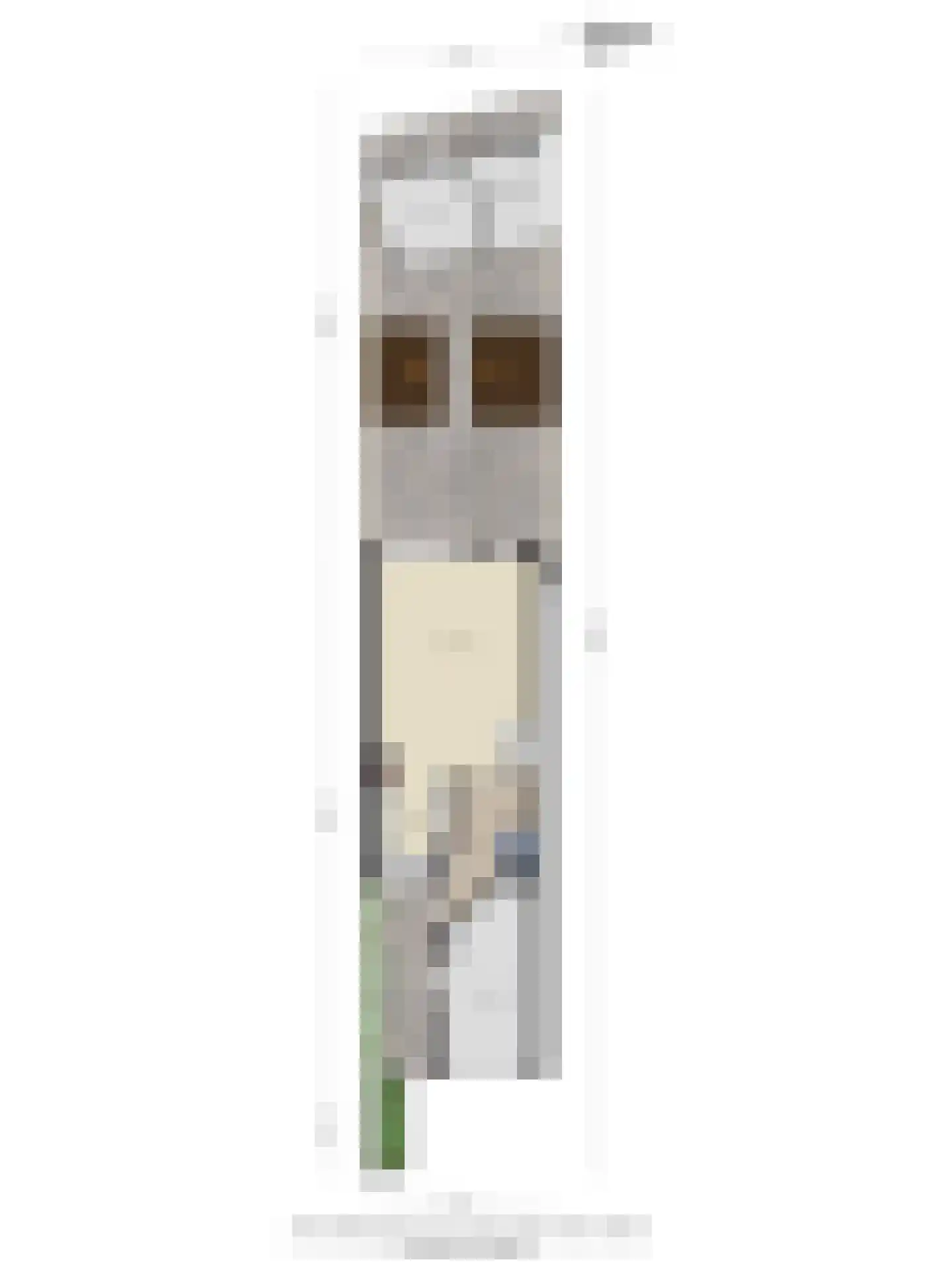 Sijsjespad 3 Delft thumbnail 34