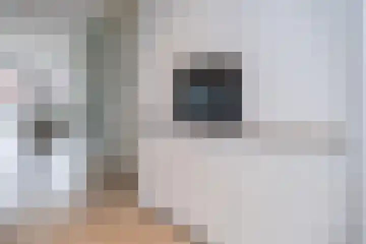 Sijsjespeer 16 Boskoop thumbnail 15