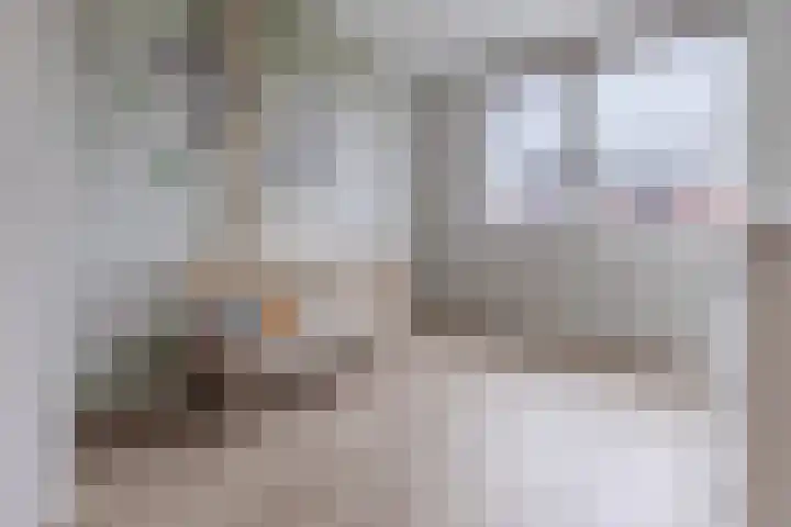 Sijsjespeer 16 Boskoop thumbnail 20