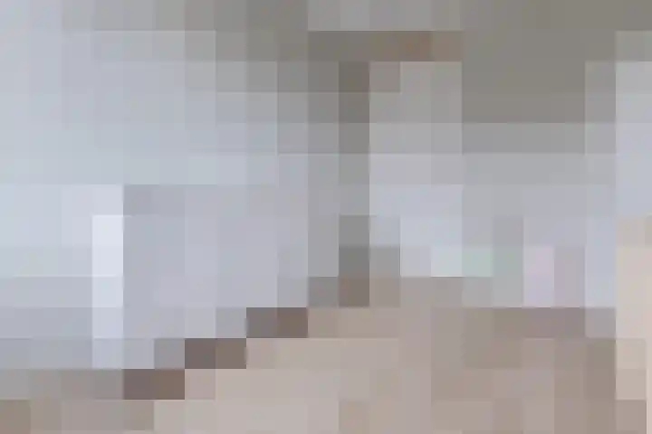 Sijsjespeer 16 Boskoop thumbnail 21