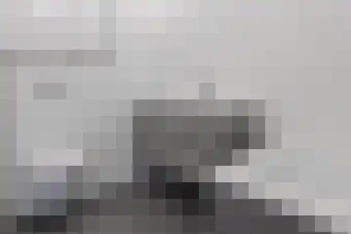 Sijsjespeer 16 Boskoop thumbnail 23