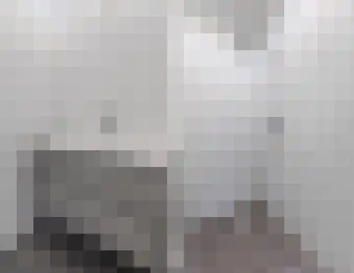 Sijsjespeer 16 Boskoop thumbnail 24