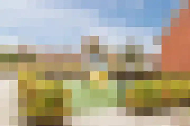 Sijsjespeer 16 Boskoop thumbnail 34