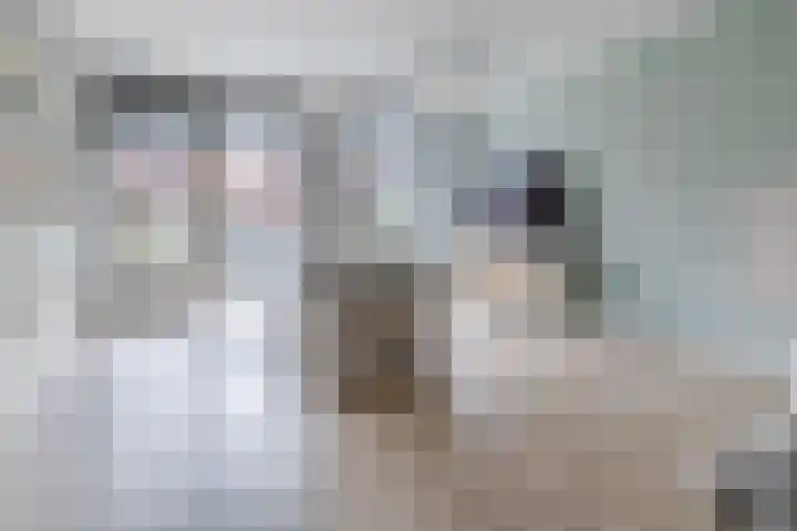 Sijsjespeer 16 Boskoop thumbnail 4